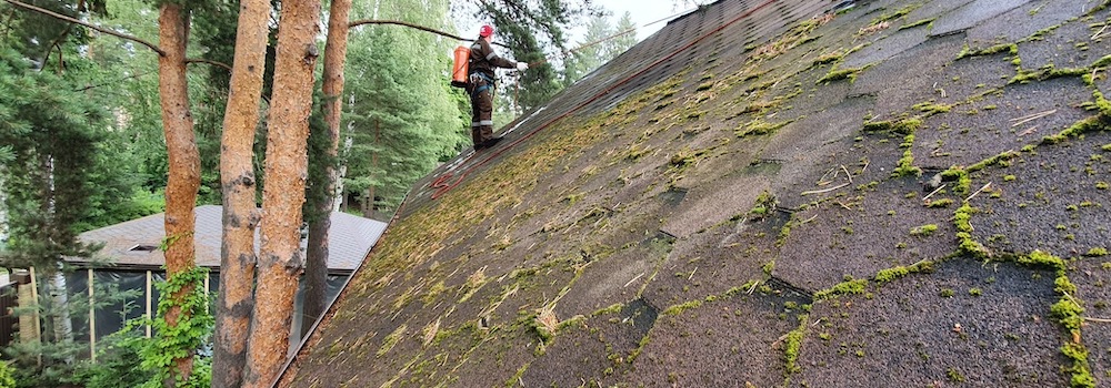 Удаление мха на крыше